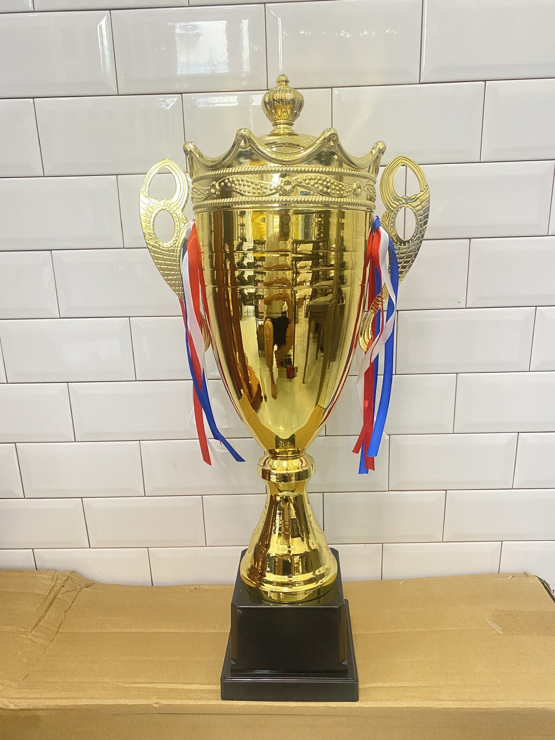 Cúp Kim Loại - 1507