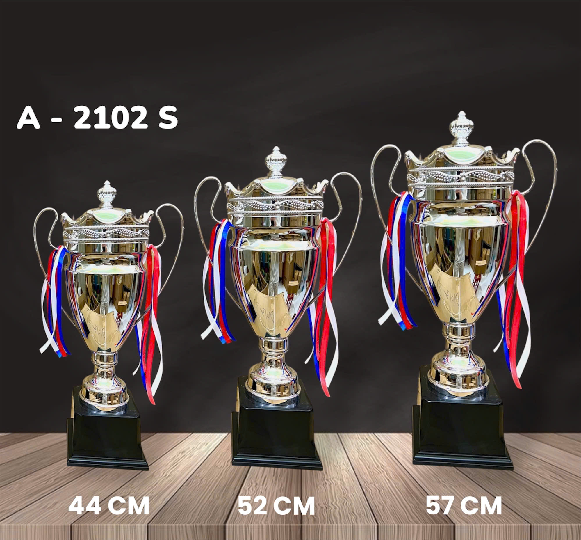 Cúp Kim Loại - 2102 Bạc