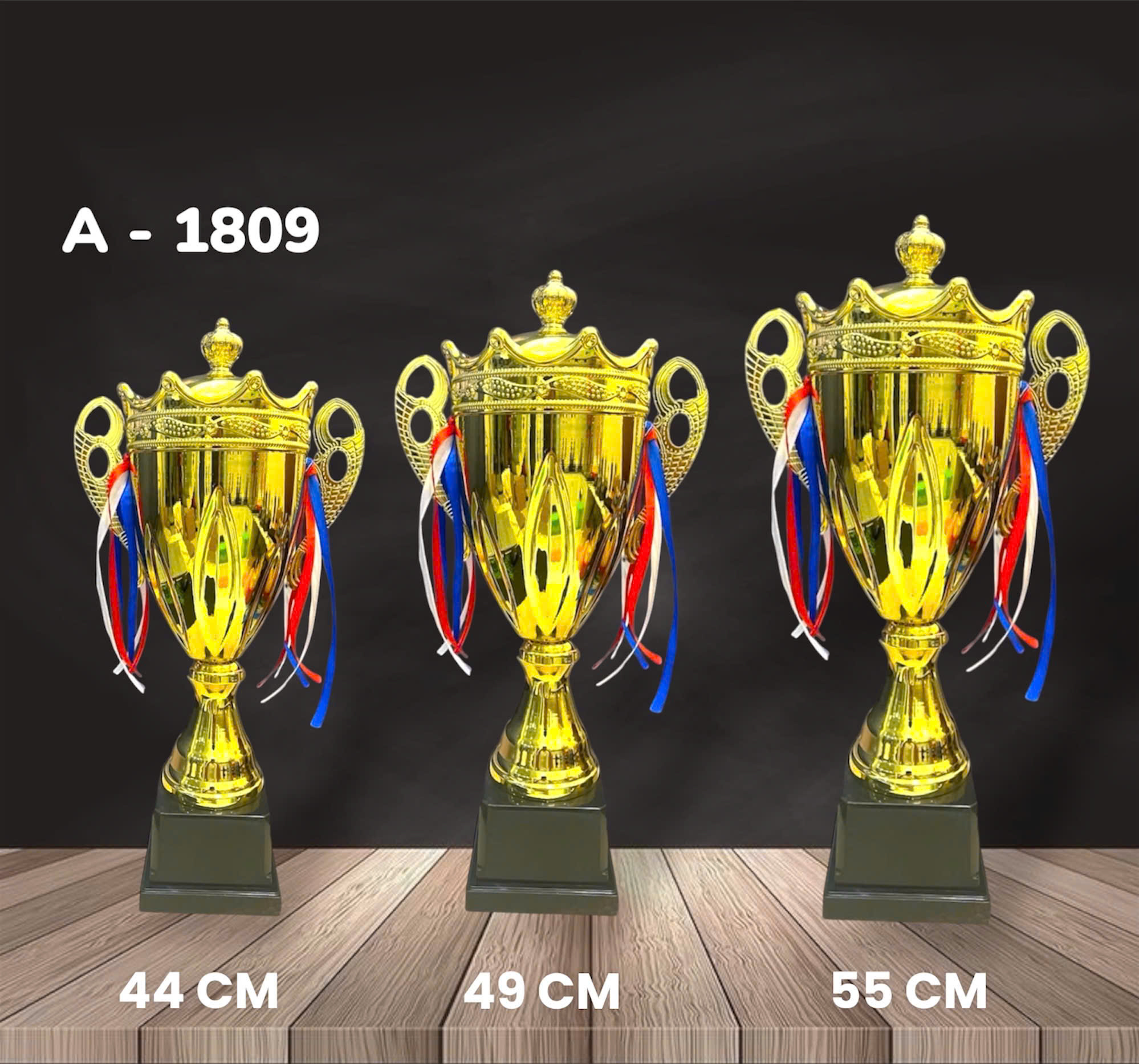 Cúp Kim Loại - 1809