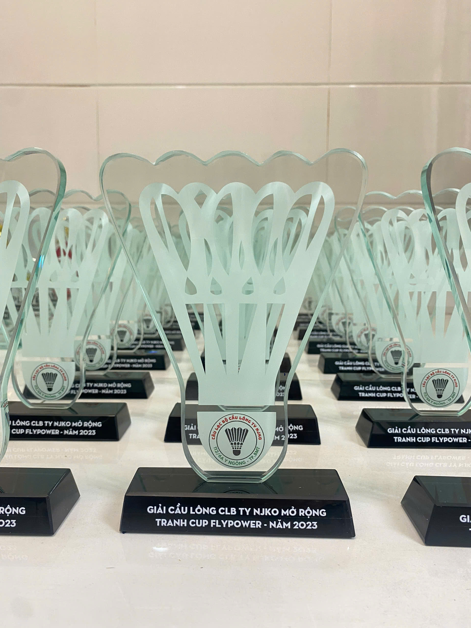 Kỷ Niệm Chương Cầu Lông 01